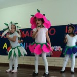 DSC00809