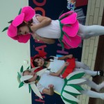 DSC00811