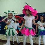 DSC00813