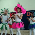 DSC00815