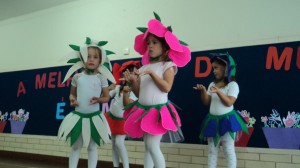 DSC00815