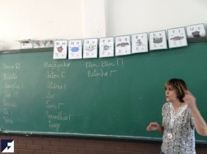 IMG_6312