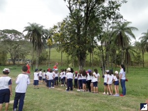 DSC05305