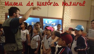 CAPA IMG_1222 B