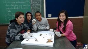 IMG_20160701_101156266