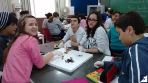 IMG_20160701_101221606