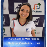 Imagem17